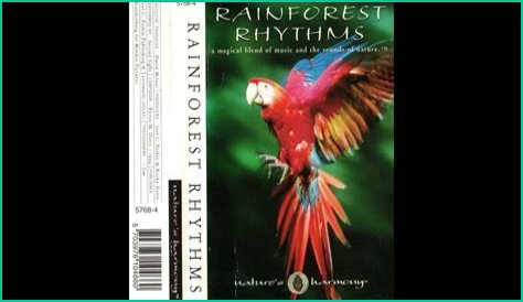 Uncovering The Rhythms Of 1995